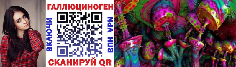 Псилоцибиновые грибы Psilocybe  omg   Майкоп 