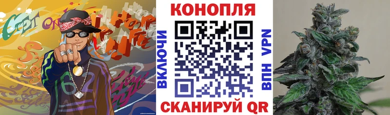 МЕГА вход  Майкоп  Шишки марихуана семена 